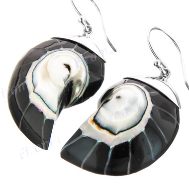 1 5/16" 925 Silver Nautilus Shell Black French Earrings