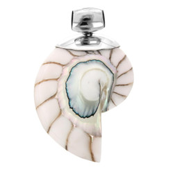 2 9/16" 925 Sterling Silver Nautilus Shell White Pendant