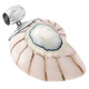 2 9/16" 925 Sterling Silver Nautilus Shell White Pendant