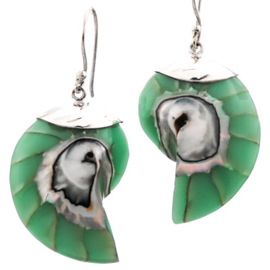 1 1/4" 925 Silver Nautilus Shell Turquoise Green Earrings