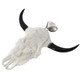 3 15/16" 925 Sterling Silver Bison Bone Skull us Pendant
