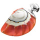 2 11/16" 925 Sterling Silver Nautilus Shell Orange Pendant