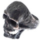 Mens Masonic Open Jaw Skull Dark Patina 925 Sterling Silver Biker Ring, US 8-13