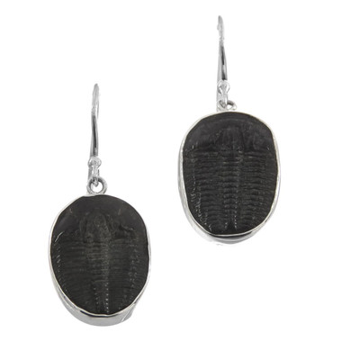 13/16" 925 Sterling Silver Trilobite French Wires Earrings