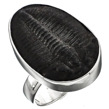 1" Stunning Full Face! Utah Trilobite 925 Sterling Silver Adjustable Ring
