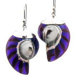 1 5/16" 925 Silver Nautilus Shell Purple French Earrings