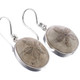 13/16" 925 Silver Fossil Sand Dollar French Wires Earrings