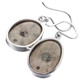13/16" 925 Silver Fossil Sand Dollar French Wires Earrings