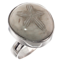 Sand Dollar Fossil 925 Sterling Silver Adjustable Ring