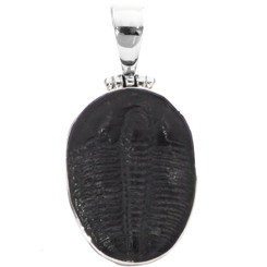 1 7/16" 925 Sterling Silver Trilobite Fossil us Pendant