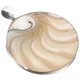 Nautilus Shell Chamber Cross-cut 925 Silver Pendant, 2 1/2"