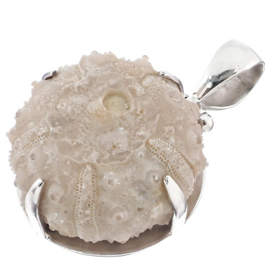 1 1/4" 925 Sterling Silver Fossil Sea Urchin us Pendant