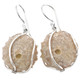11/16" 925 Silver Sea Urchin Fossil French Wires Earrings