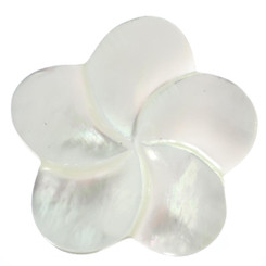 Cabochon Undrilled Carving Flower Shell 1 3/8"(35mm) White
