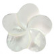 Cabochon Undrilled Carving Flower Shell 1 3/8"(35mm) White