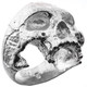 Polished Masonic Jawless Large Skull Motorcycle Biker 925 Sterling Silver Ring