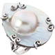 Cutlured Mabe Pearl In Shell Pear Filigree 925 Sterling Silver Cocktail Ring