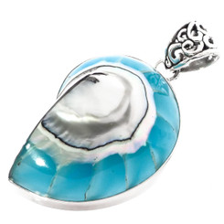 1 3/4" COOL OPEN TURQUOISE BLUE NAUTILUS SHELL 925 STERLING SILVER pendant