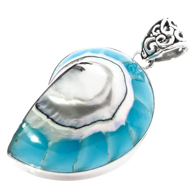1 3/4" COOL OPEN TURQUOISE BLUE NAUTILUS SHELL 925 STERLING SILVER pendant