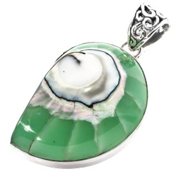 1 3/4" COOL OPEN TURQUOISE GREEN NAUTILUS SHELL 925 STERLING SILVER pendant