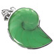 1 3/4" COOL OPEN TURQUOISE GREEN NAUTILUS SHELL 925 STERLING SILVER pendant