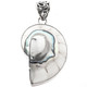 1 3/4" COOL OPEN WHITE NAUTILUS SHELL 925 STERLING SILVER pendant