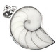 1 3/4" COOL OPEN WHITE NAUTILUS SHELL 925 STERLING SILVER pendant