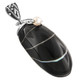 2" BLACK NAUTILUS SHELL FRESHWATER PEARL 925 STERLING SILVER pendant