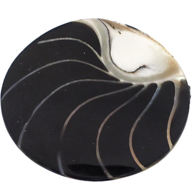 1 5/8" GENUINE EXPOSED CHAMBER NAUTILUS SHELL BLACK BEAD CAB cabochon