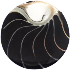 1 5/8" GENUINE EXPOSED CHAMBER NAUTILUS SHELL BLACK BEAD CAB cabochon