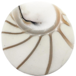 1" GENUINE EXPOSED CHAMBER NAUTILUS SHELL WHITE BEAD CAB cabochon