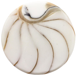 1 5/8" GENUINE EXPOSED CHAMBER NAUTILUS SHELL WHITE BEAD CAB cabochon