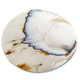 1 5/8" GENUINE EXPOSED CHAMBER NAUTILUS SHELL WHITE BEAD CAB cabochon