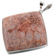 925 Silver Genuine Fossil Coral Sterling Pendant, 2 1/2"