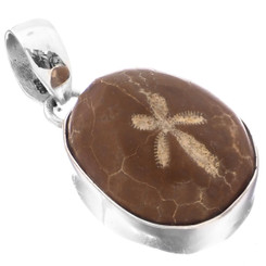 Madagascar Fossil Sand Dollar 925 Sterling Silver Pendant, 1 1/4" 