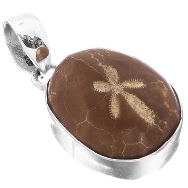 Madagascar Fossil Sand Dollar 925 Sterling Silver Pendant, 1 1/4" 