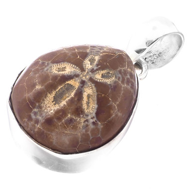 Madagascar Fossil Sand Dollar 925 Sterling Silver Pendant, 1 1/4" 
