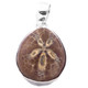 Madagascar Fossil Sand Dollar 925 Sterling Silver Pendant, 1 1/4" 