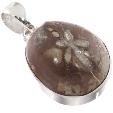 Madagascar Fossil Sand Dollar 925 Sterling Silver Pendant, 1 1/4" 