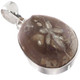 Madagascar Fossil Sand Dollar 925 Sterling Silver Pendant, 1 1/4" 