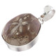 Madagascar Fossil Sand Dollar 925 Sterling Silver Pendant, 1 1/4" 