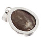 Madagascar Fossil Sand Dollar 925 Sterling Silver Pendant, 1 1/4" 