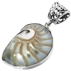 1 3/8" Paisley Nautilus Shell In 925 Sterling Silver Pendant