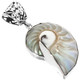 1 3/8" Paisley Nautilus Shell In 925 Sterling Silver Pendant