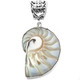 1 3/8" Paisley Nautilus Shell In 925 Sterling Silver Pendant