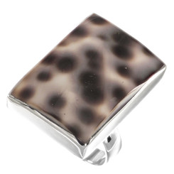 Brown Dotted Genuine Tiger Cowry Shell 925 Sterling Silver Ring, 1"