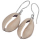 5/8" Beach Tropical Cowry Shell 925 Sterling Silver Earrings