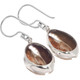 5/8" Beach Tropical Cowry Shell 925 Sterling Silver Earrings
