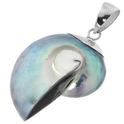 1 1/4" BLUE IRIDESCENT NAUTILUS SHELL IN 925 STERLING SILVER pendant