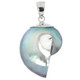 1 1/4" BLUE IRIDESCENT NAUTILUS SHELL IN 925 STERLING SILVER pendant